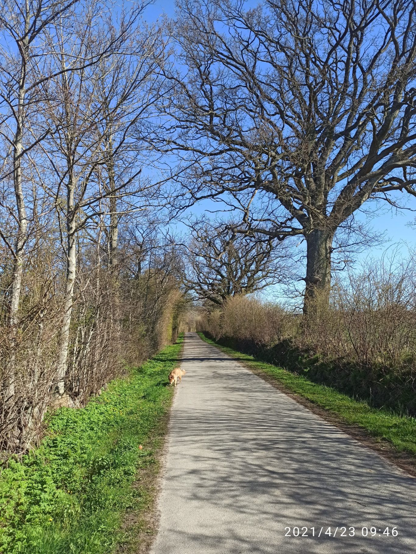 Wandern oder mit dem Rad unterwegs Natur Kappeln und Umgebung, Kiekut 9 - Ferienwohnung
