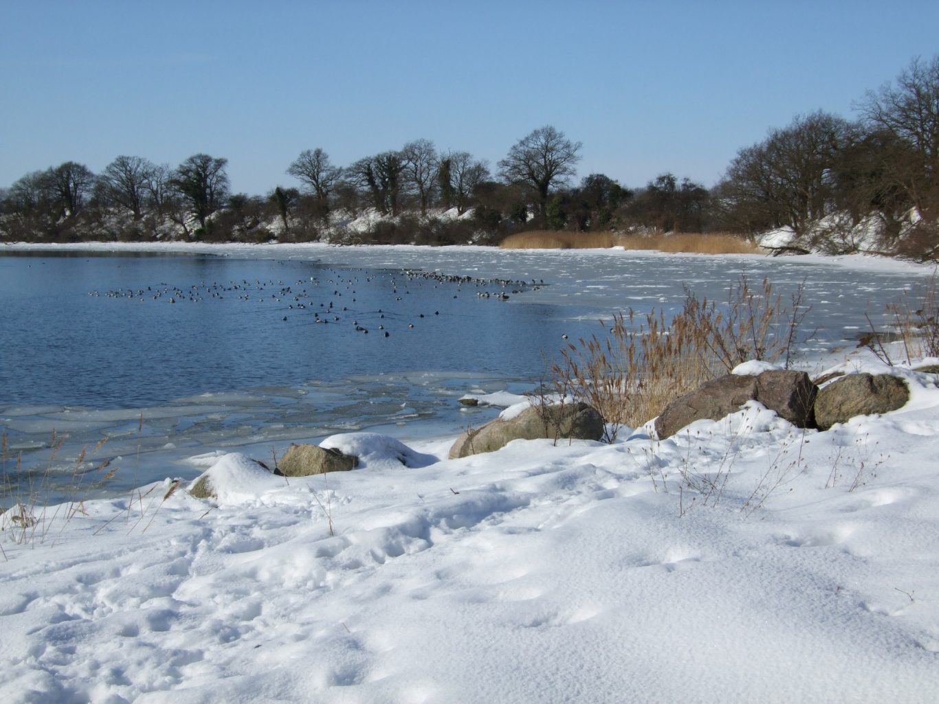 Gerade in der Vorsaison kann man die Ruhe genießen Natur Kappeln und Umgebung, Kiekut 9 - Ferienwohnung Ostsee