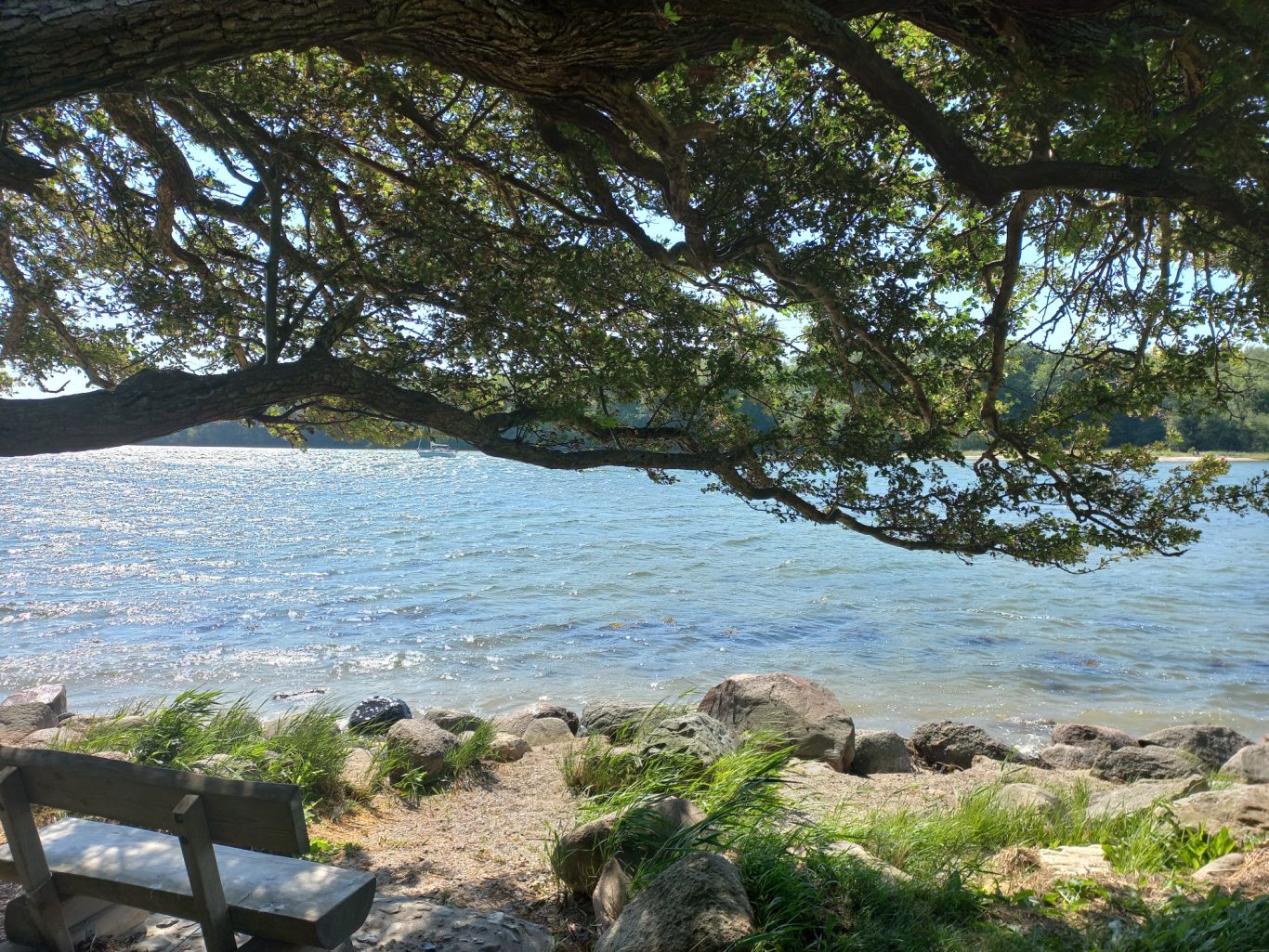Rabelsund - z.B. mit dem Rad Natur Kappeln und Umgebung, Kiekut 9 - Ferienwohnung